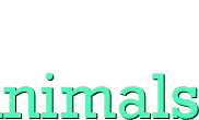 Animal prints